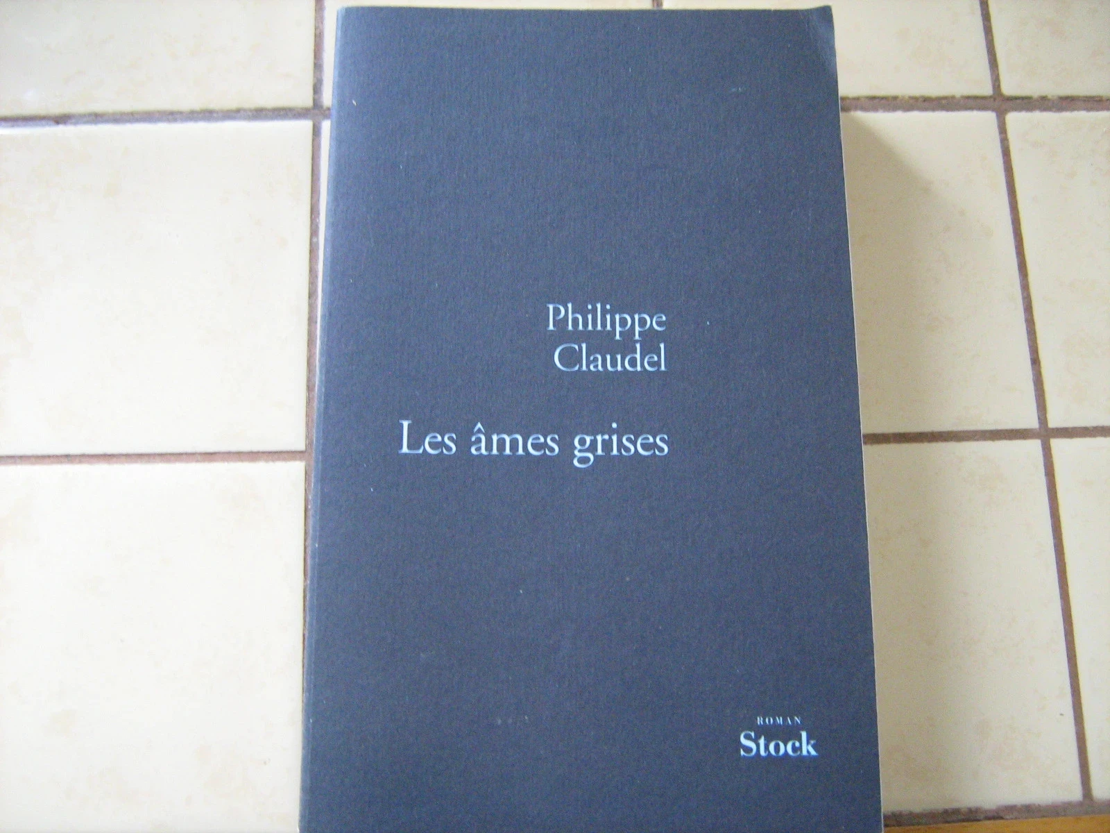 les âmes grises